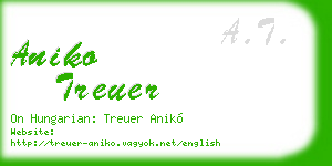 aniko treuer business card